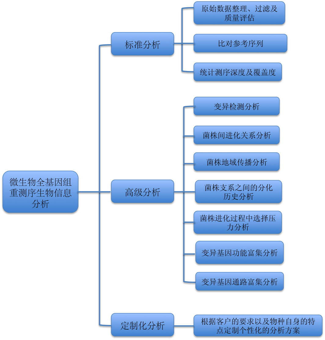 i基因人口_传承红色基因手抄报