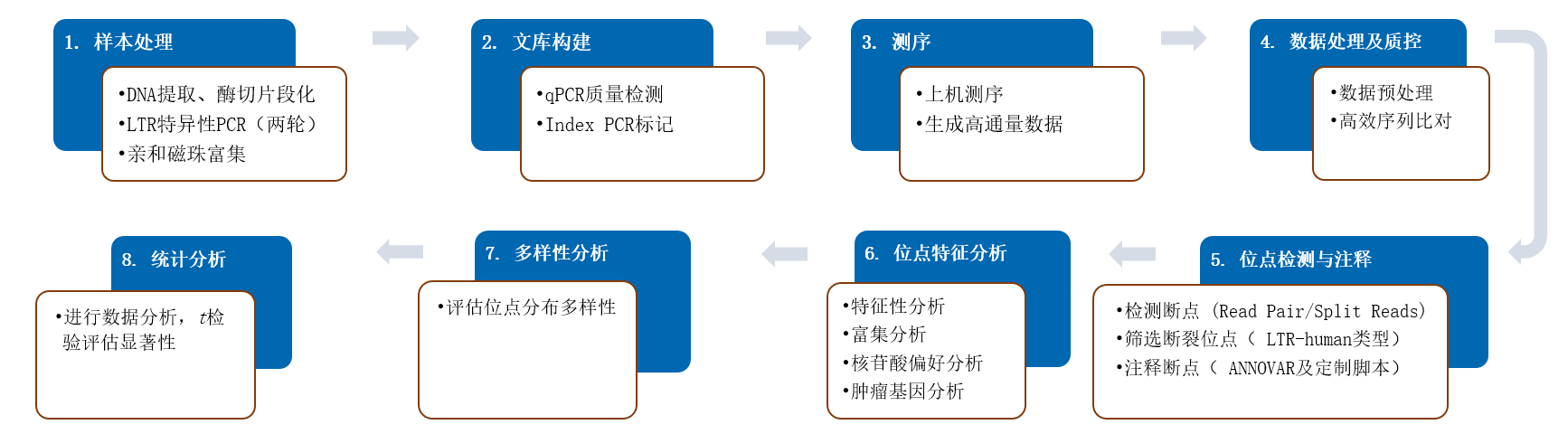  图1：LAM-PCR整合位点检测服务工作流程，包括样本预处理、DNA提取及质控、LAM-PCR扩增和磁珠富集、高通量测序、生物信息分析的完整服务链。